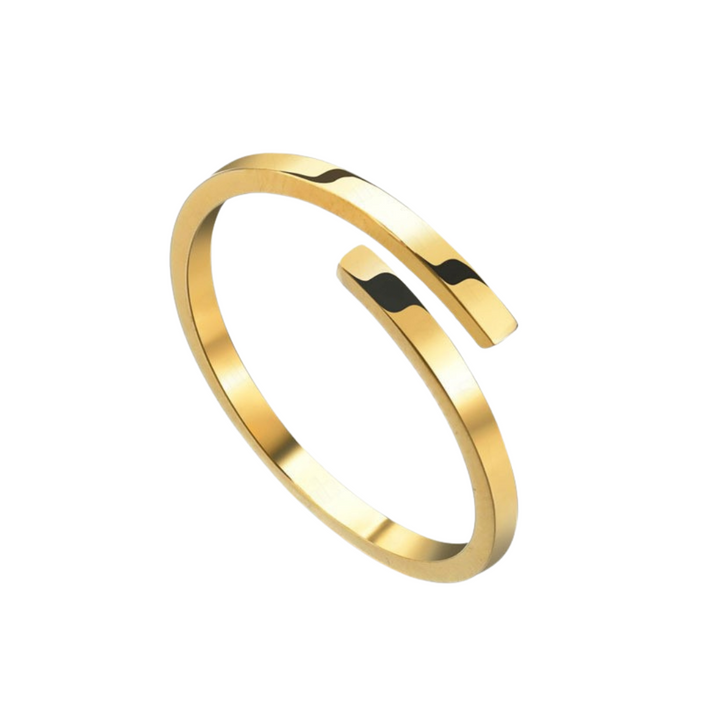 Ring Endless